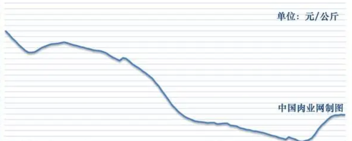 开云-羊肉“崩”了！2月4日跌破11元，卖羊还是留着过年？答案来了